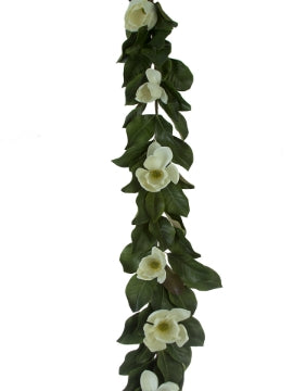 Magnolia