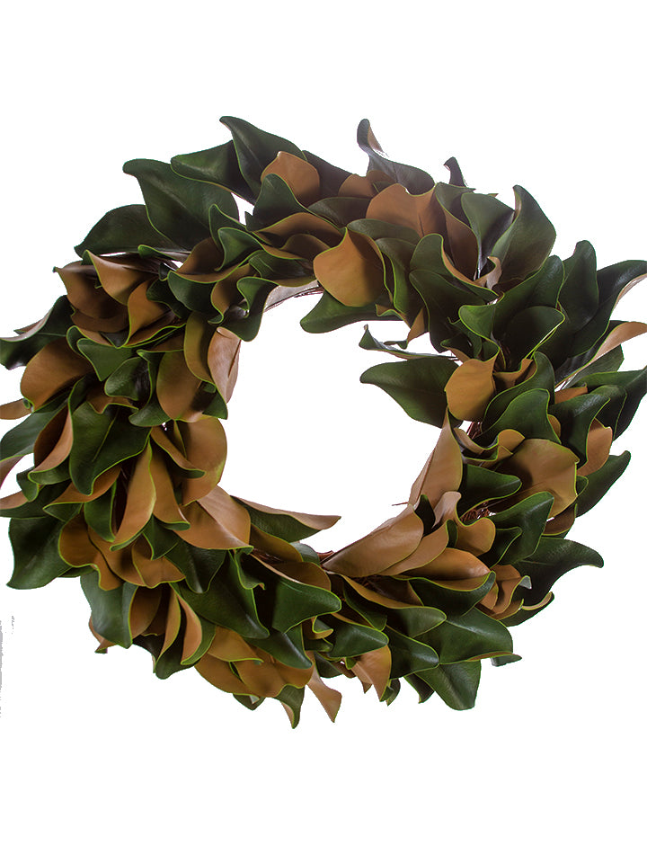 Magnolia