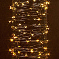String Lights (20ft)