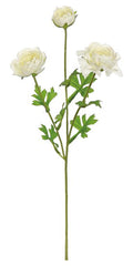 Ranunculus Spray