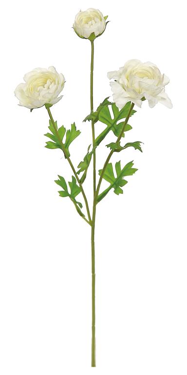 Ranunculus Spray