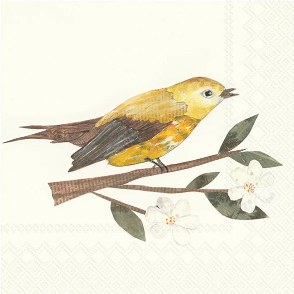 YELLOW BIRD AND BLOSSOM