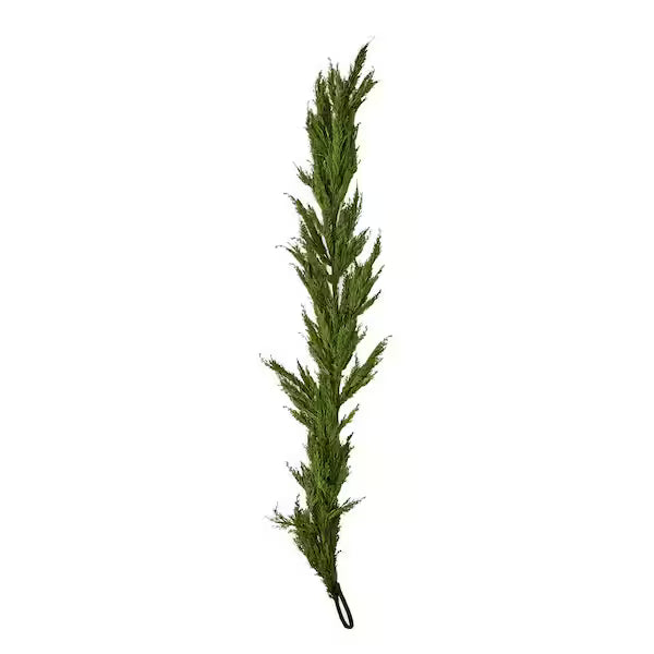 Cedar Garland